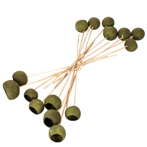 Klokvormige bloem op steel, groen, gedroogde exotische bloemen, 5 cm, 15 stuks | Floristik24.nl