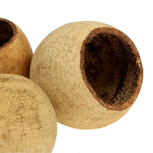 Artikel Bell Cup klein naturel 25 st