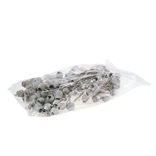 Artikel Bellgum tak met 5-7 vruchten white washed 20 st