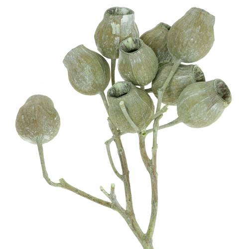 Bellgum tak 5cm - 7cm groen mat 20 st