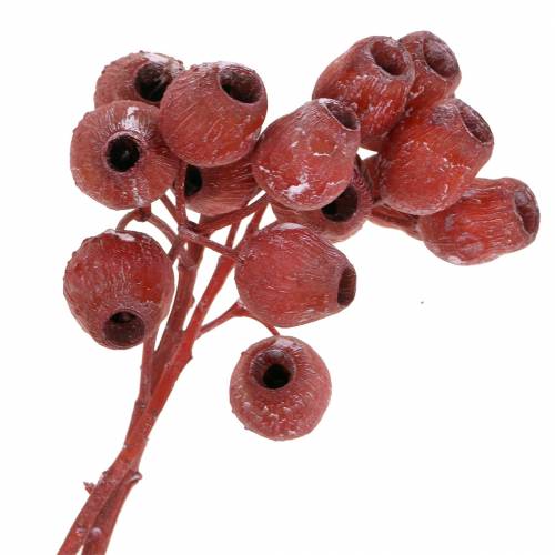 Floristik24 Bellgum tak 5cm - 7cm rood mat 20 st