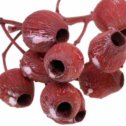 Artikel Bellgum tak 5cm - 7cm rood mat 20 st