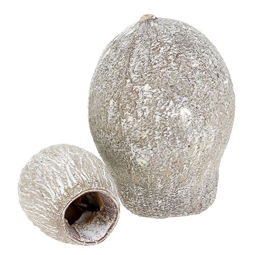 Artikel Bellgums witgekalkt 2cm - 5cm 500g