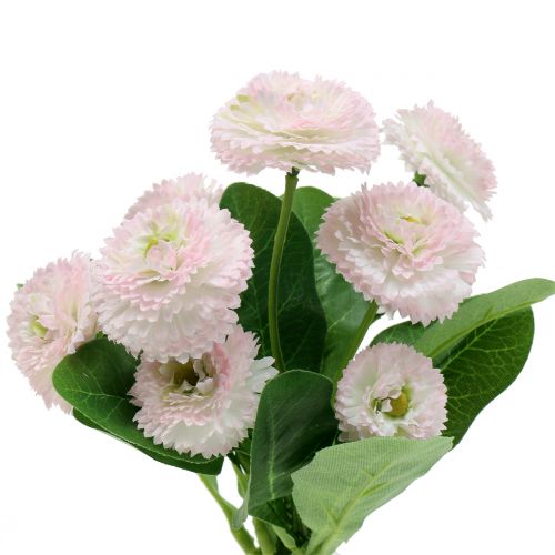 Bellisbund lichtroze 24cm 2st