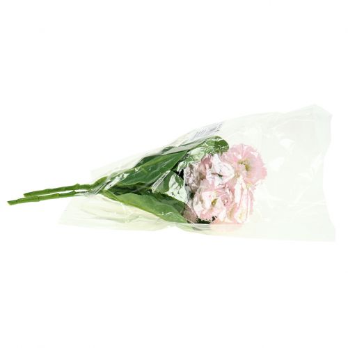 Artikel Bellisbund lichtroze 24cm 2st