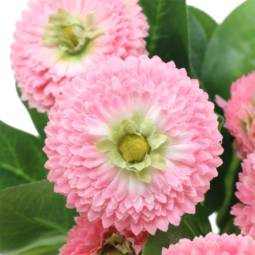 Floristik24 Bellis bos roze 24cm 2st