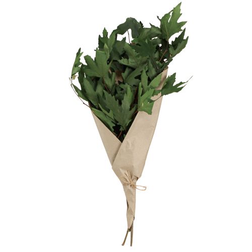 Artikel Sycamore takken bladeren decoratieve esdoornbladeren groen 50-60cm 100g
