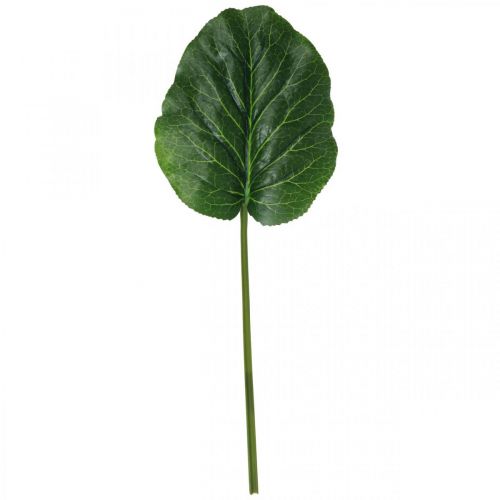 Artikel Groene kunstplant Bergenia Groene kunstplant 53cm