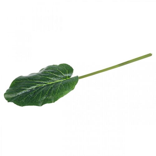 Artikel Groene kunstplant Bergenia Groene kunstplant 53cm