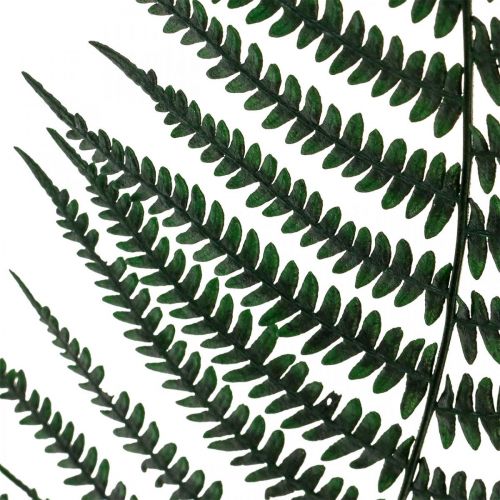 Artikel Bergvaren siervaren geconserveerde varenbladeren groen 45cm 20 st