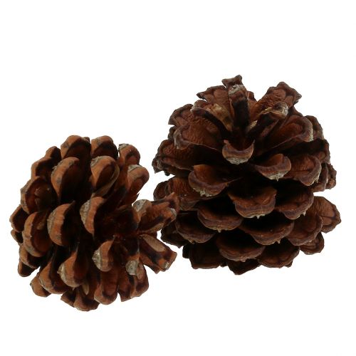 Artikel Bergdennenappels klein naturel 1kg