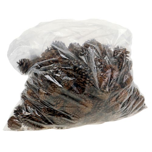 Artikel Bergdennenappels klein naturel 1kg