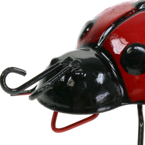 Floristik24 Lieveheersbeestje 10cm