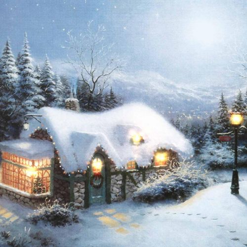 Floristik24 LED mural winterlandschap met huisje 38×28cm Voor op batterijen