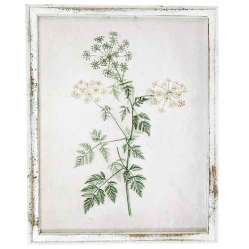 Vintage wanddecoratie, foto met lijst houtgedroogde plant 40×50cm