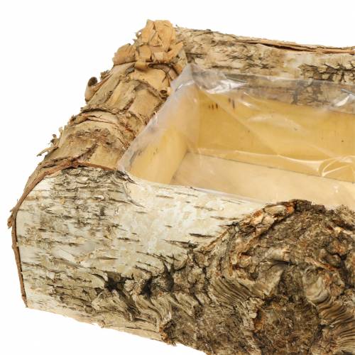 Floristik24 Planter berk 30cm x 20cm H8cm