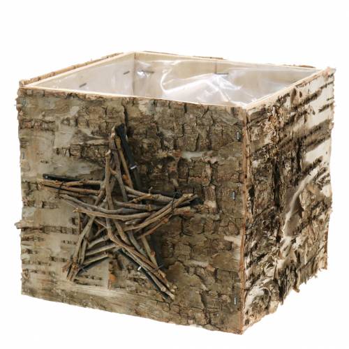 Plantenpot berken pot met ster H15.5cm