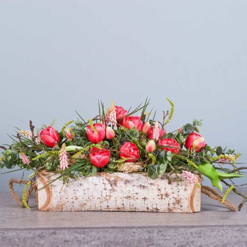 Floristik24 Plantenbak berken met touwgrepen 38x16cm H9cm