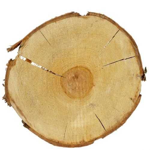 Floristik24 Berkenschijf naturel Ø30cm - 35cm