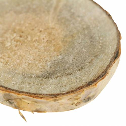 Floristik24 Berkenschijfjes rond naturel 5cm 1kg ter decoratie met schors