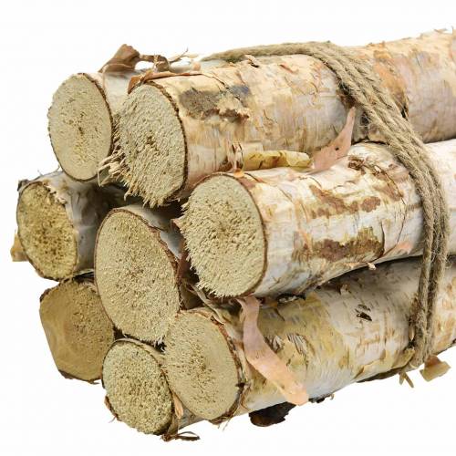 Floristik24 Berkentakken gebundeld naturel 40cm