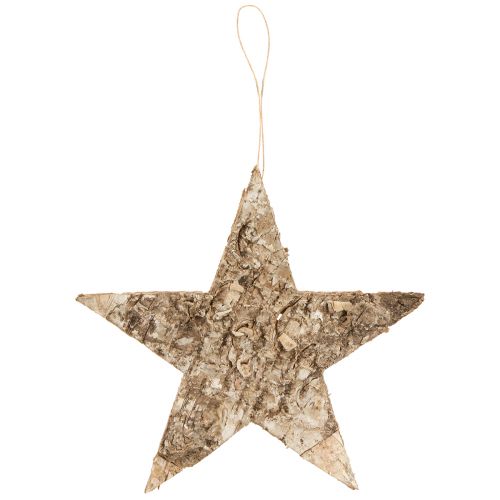 Artikel Berkensterren voor het ophangen van decoratie sterren berkenbast 20cm 4 stuks