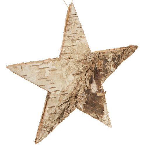 Floristik24 Berkensterren voor het ophangen van sterren berkenschors naturel 15cm 6 st