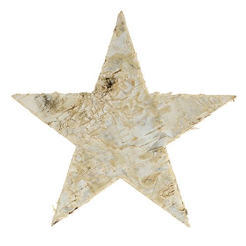 Artikel Berkensterren 9cm 70 st