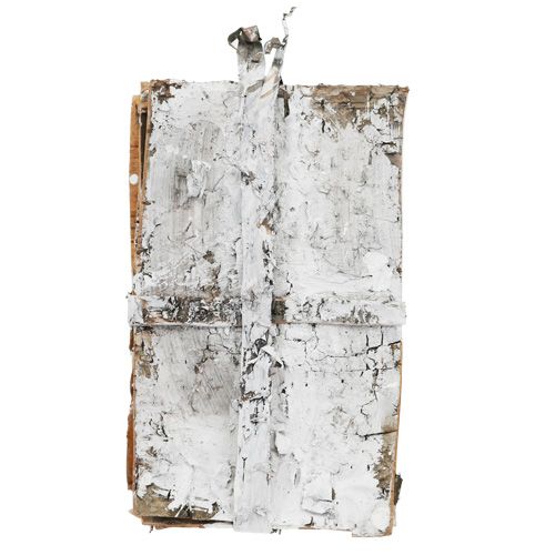 Floristik24 Schorsschijfjes 20cm x 12cm wit, gewassen 8 st