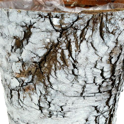 Artikel Berkenpot kleine plantenbak berken wit Ø10cm H8,5cm 6 st