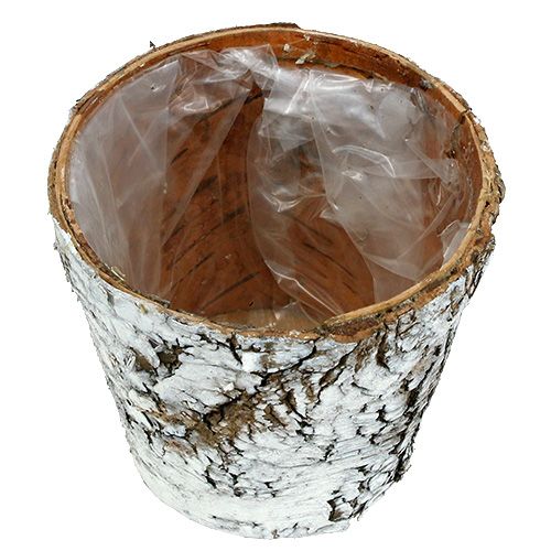 Artikel Berkenpot kleine plantenbak berken wit Ø10cm H8,5cm 6 st