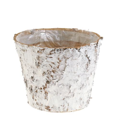 Artikel Pot met gebleekte berkenschors plantenpot Ø15cm H12,5cm 3 st