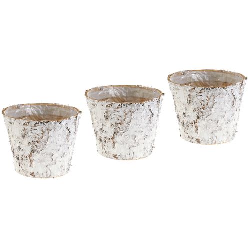 Artikel Pot met gebleekte berkenschors plantenpot Ø15cm H12,5cm 3 st