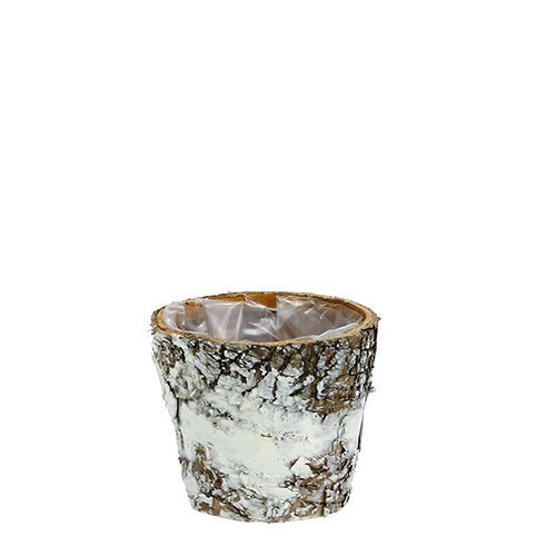 Berkenpot mini witte plantenbak plantenbak Ø7cm H7cm 10st