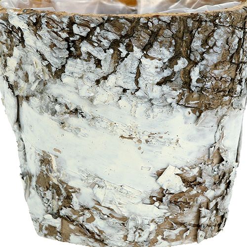 Artikel Berkenpot mini witte plantenbak plantenbak Ø7cm H7cm 10st