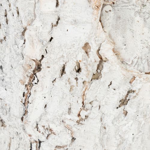 Artikel Berkenpot medium plantenpot berken wit Ø12cm H10.5cm 4 st.