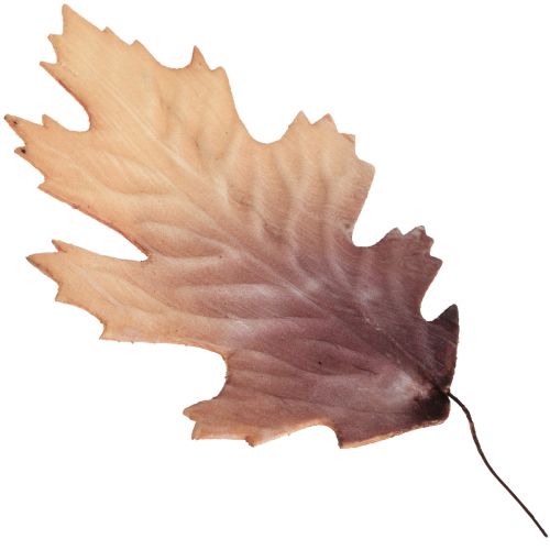Floristik24 Rood eikenblad herfstbladeren deco bladeren deco 13×19cm 12st