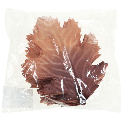 Floristik24 Rood eikenblad herfstbladeren deco bladeren deco 13×19cm 12st