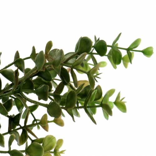 Artikel Buxus decoratieve tak groen 40cm