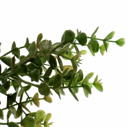 Floristik24 Buxus decoratieve tak groen 40cm