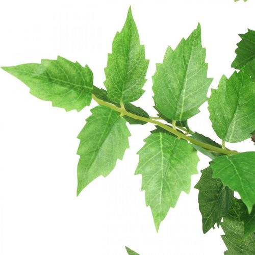 Floristik24 Deco Tak Kunst Bladeren Tak Groene Berkentak 90cm