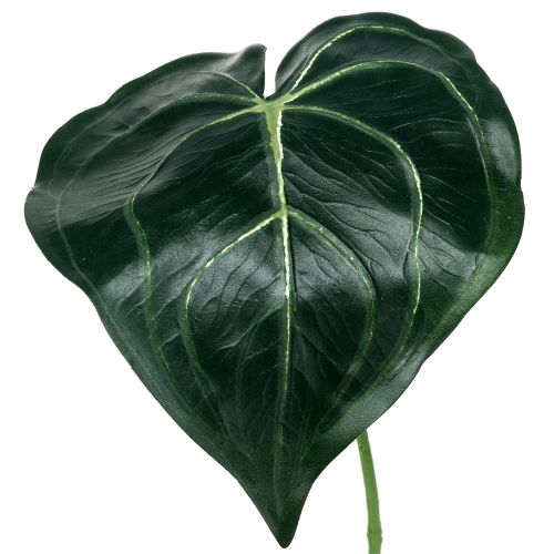 Caladium blad 32cm 2st