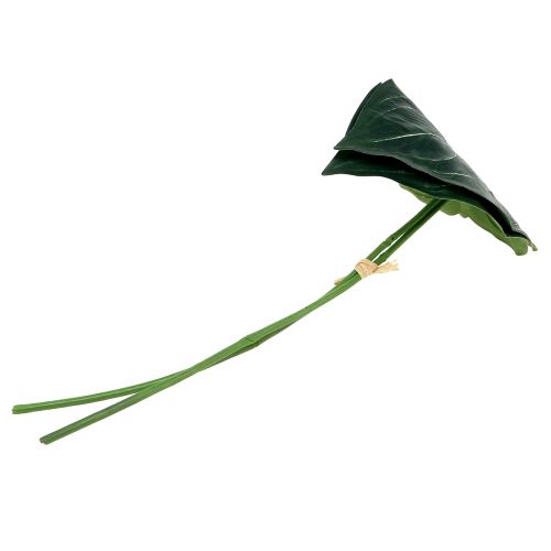 Floristik24 Caladium blad 32cm 2st