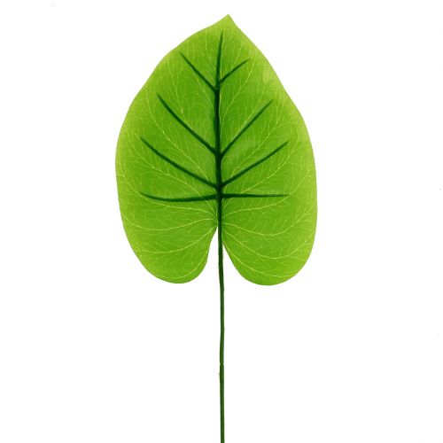 Floristik24 Decoratief blad Funkie, Hosta 40cm 5st