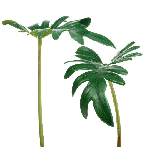 Artikel Blad Philodendron 31cm Groen 12 stuks