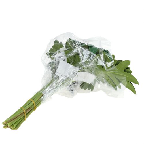 Artikel Blad Philodendron 31cm Groen 12 stuks