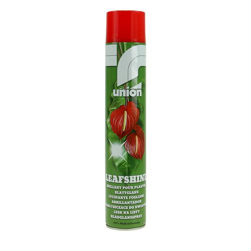 Floristik24 Bladglansspray 400ml