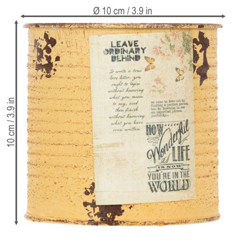 Artikel Decoratieve plantenpot van blik in abrikooskleur, metalen pot Ø11cm H10.5cm