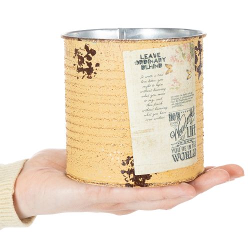 Decoratieve plantenpot van blik in abrikooskleur, metalen pot Ø11cm H10.5cm | Floristik24.nl