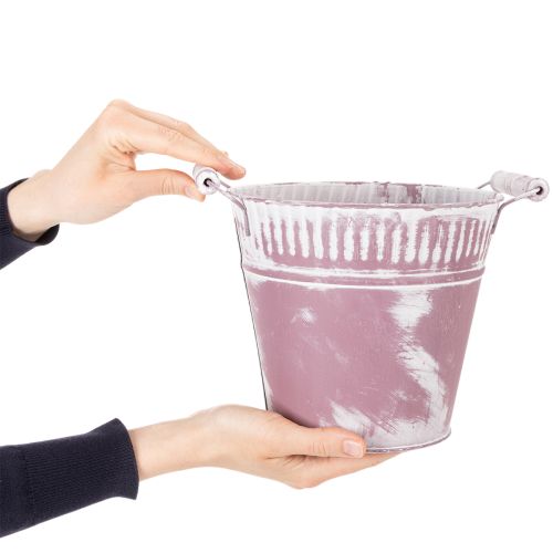 Blikken emmer, paars en wit geverfd, Ø19cm H17cm, 1 stuk. | Floristik24.nl